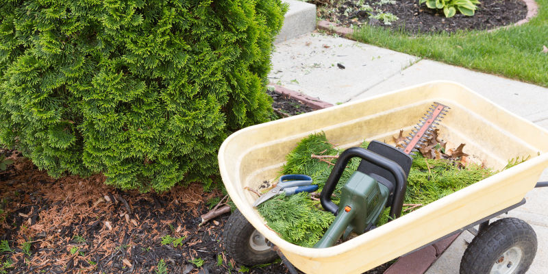 Want Your Landscaping Debris Gone Fast? A Same-Day Waste Bin May be Just the Thing